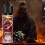 Yasuke (Gamme Yōkai) par Solana