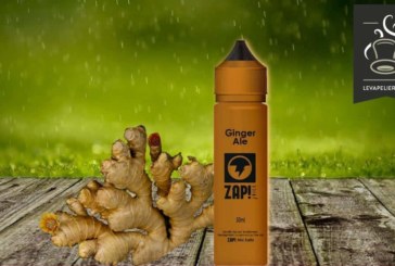 Ginger Ale par Zap Juice