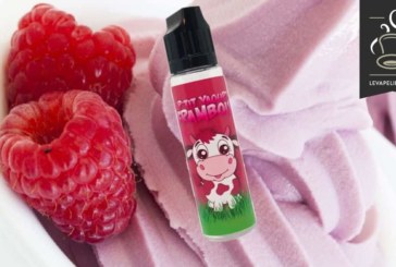 P’tit Yaourt Framboise (Gamme LBV Fox) par Laboravape