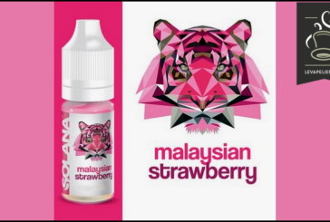 Malaysian Strawberry (Gamme Prêt à Vaper) par Solana