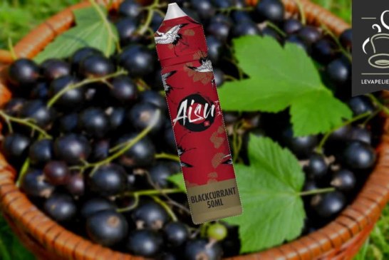 Blackcurrant par ZAP! Juice