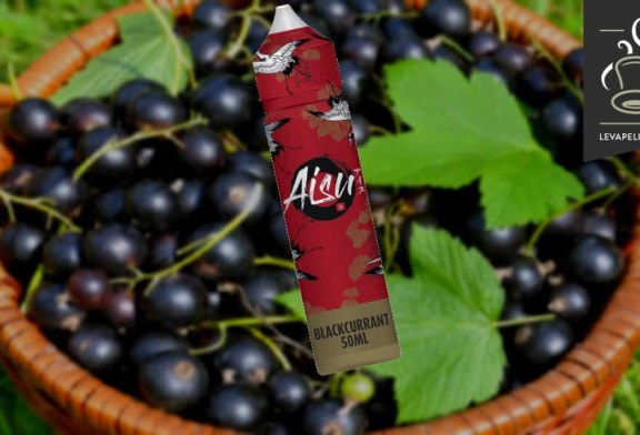 Blackcurrant par ZAP! Juice
