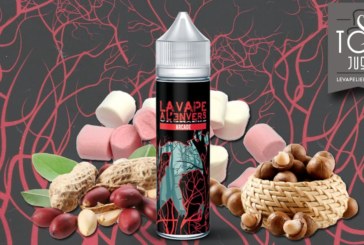 Arcade (Gamme La Vape à l’Envers) par Vapeur France